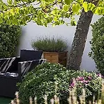Otel Nicey - Spa, Lounge, Coworking